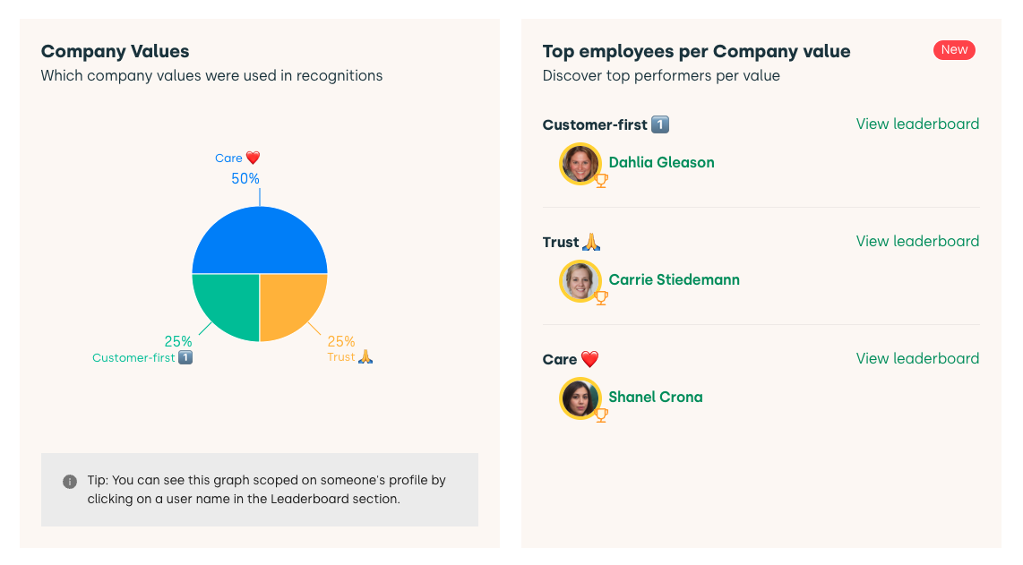 company values in dashboard